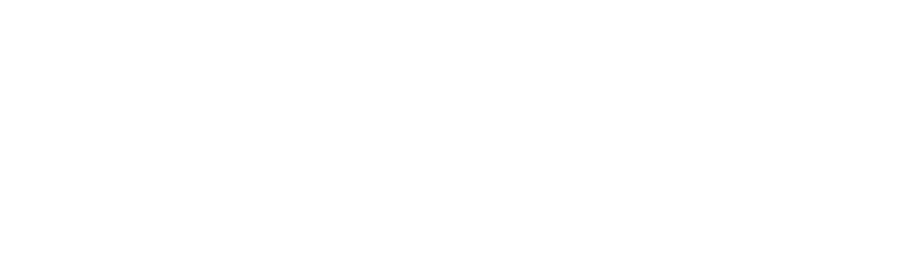 The Wave logo