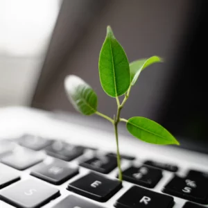 small plant with leaves coming out of laptop keyboard