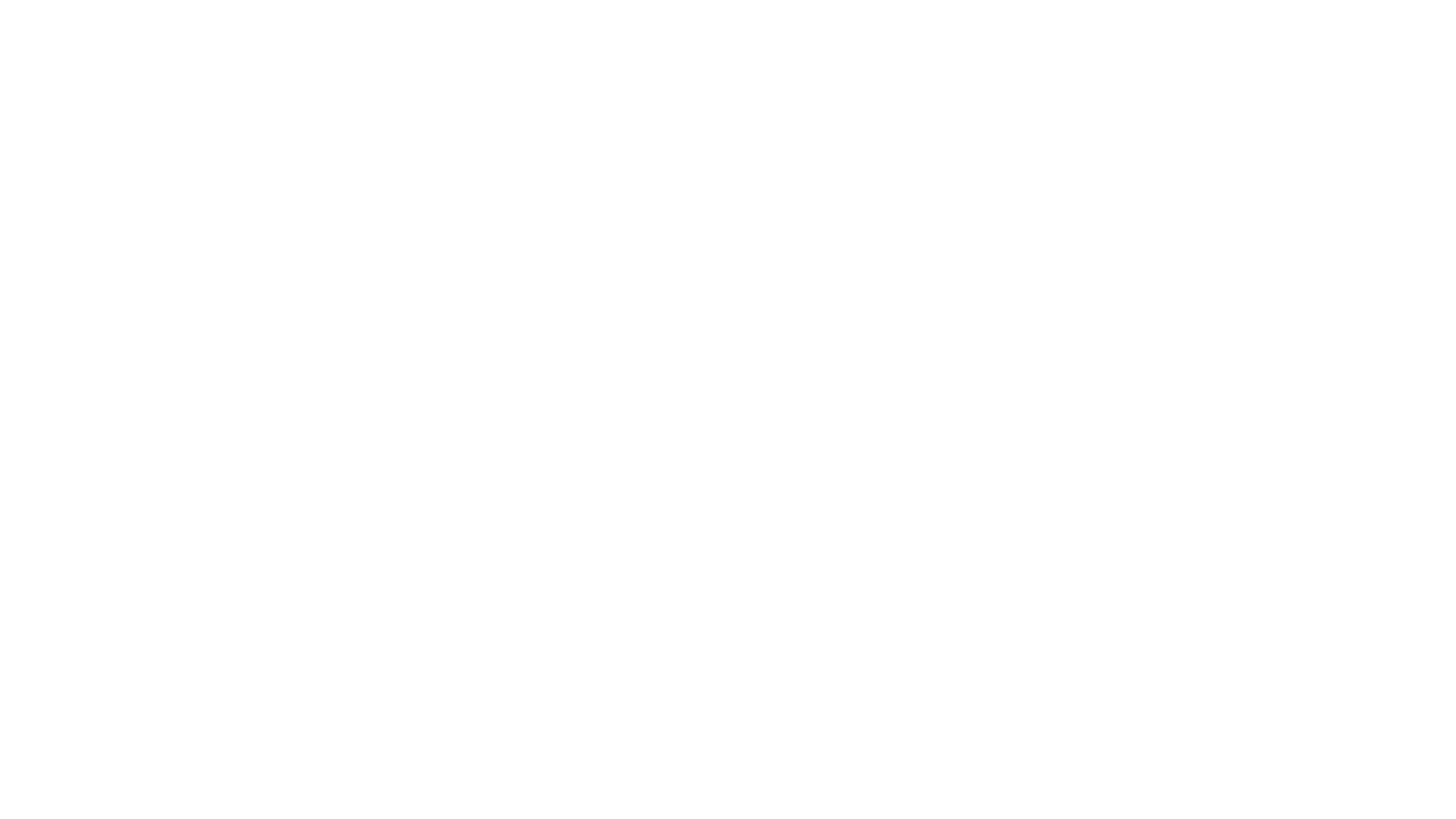 Hub of Hope logo white.