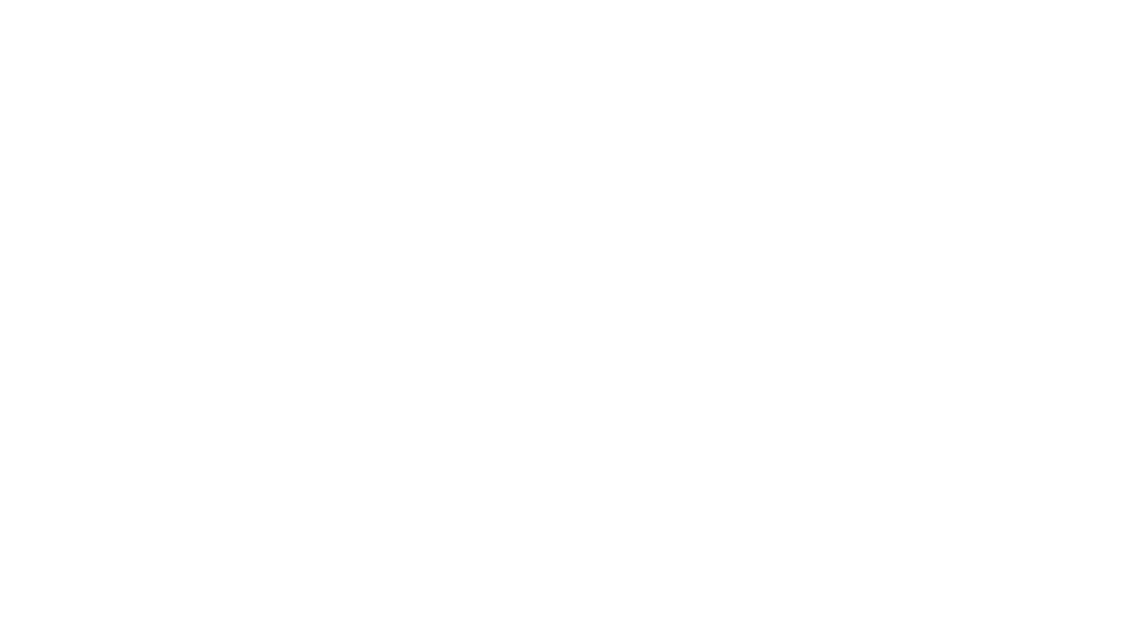 Tidelight logo in white.