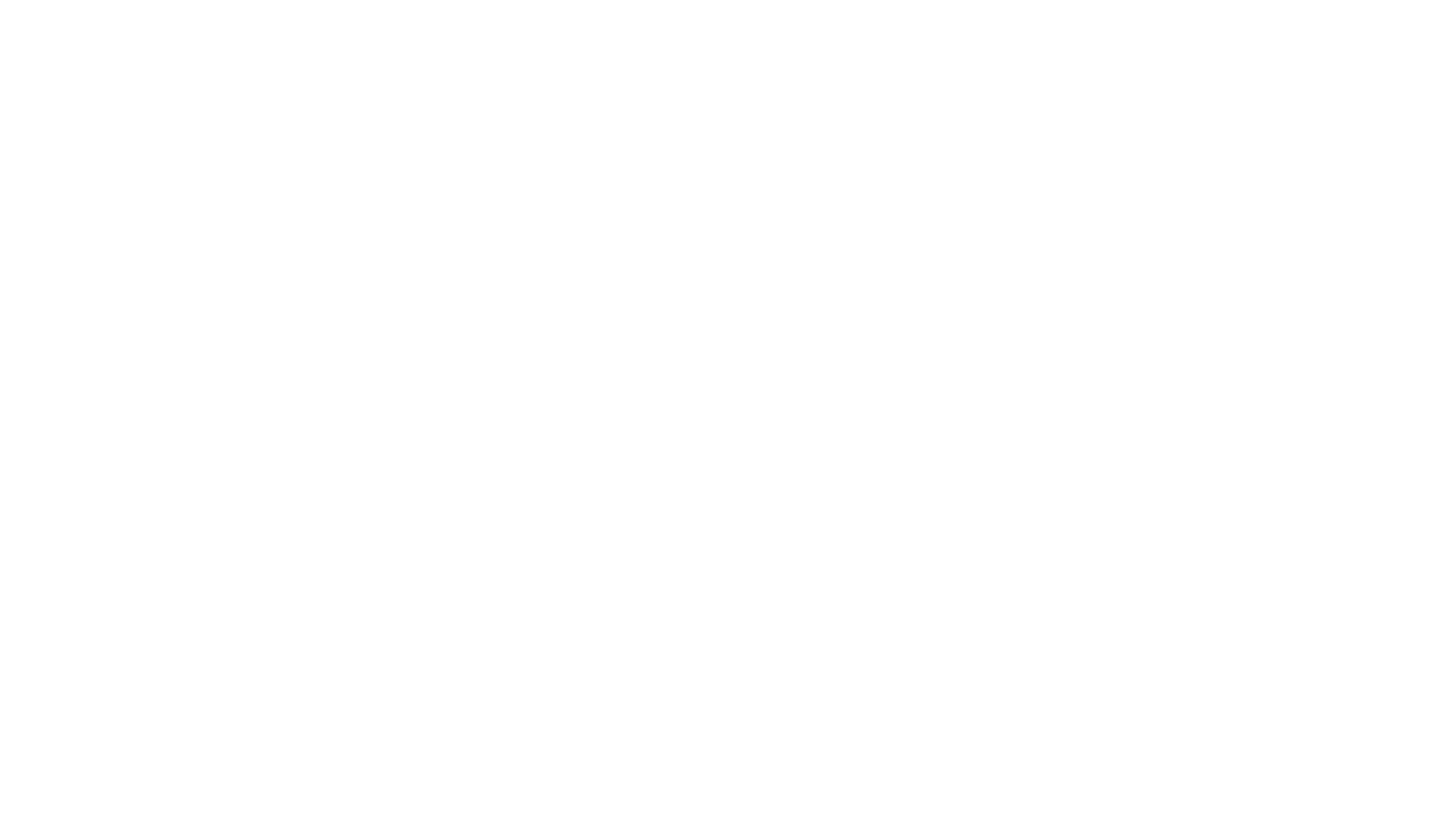 _nology logo in white.