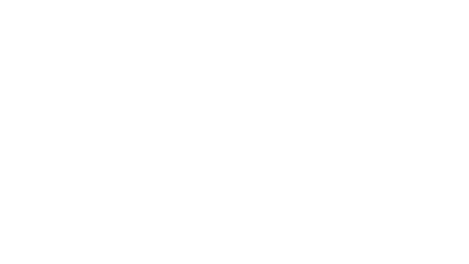 xigxag logo in white.
