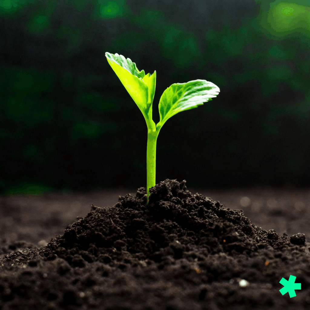 Small green plant shooting out of the soil.